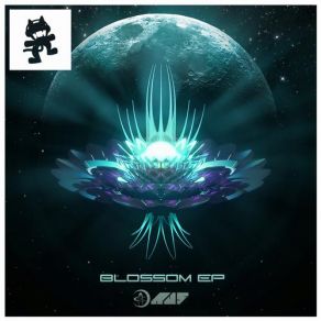 Blossom album cover