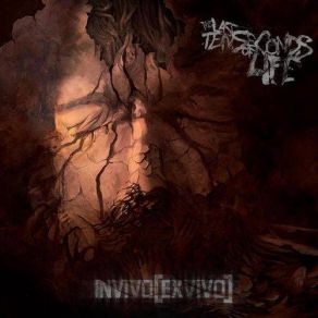 Invivo (Exvivo) album cover