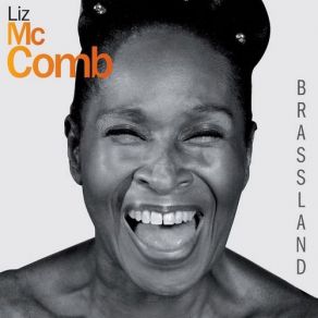 BrassLand album cover