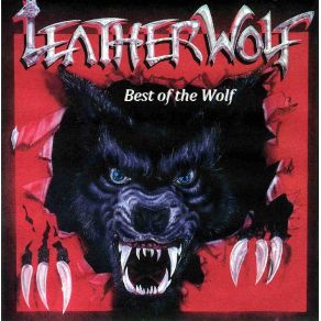 Best Of The Wolf album cover