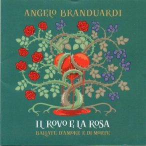 Il Rovo E La Rosa album cover