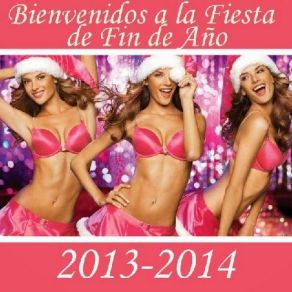 Bienvenidos A La Fiesta De Fin De Año 2014 (CD2) album cover