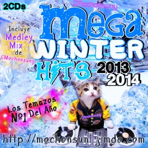 Mega Winter Hits 2013 / 2014 (CD1) album cover