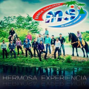 Hermosa Experiencia (Single) album cover
