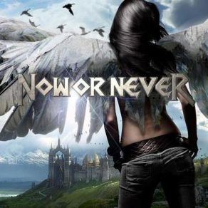 Now Or Never album cover