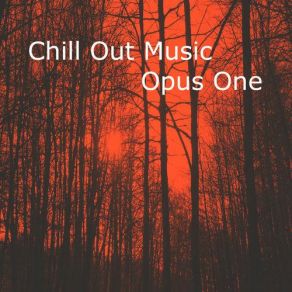 Chill Out Music Opus One album cover