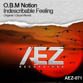 Indescribable Feeling album cover
