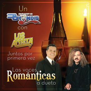 Un Bryndis Con Los Acosta album cover
