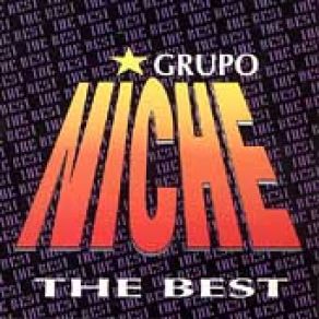 Niche The Best album cover