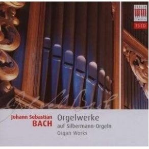 J. S. Bach - Organ Works On Silbermann Organs Vol. 1 album cover