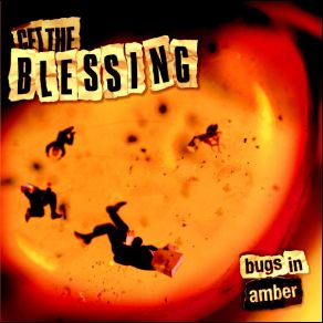 Bugs In Amber album cover