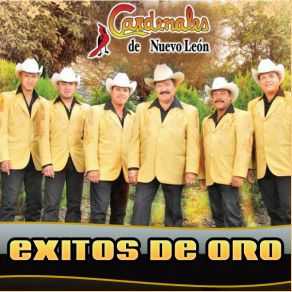 Exitos De Oro album cover
