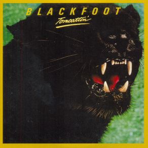 Tomcattin' album cover