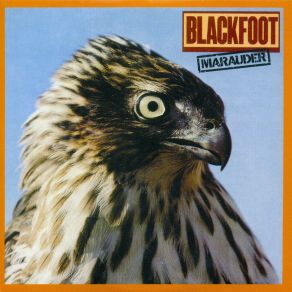 Marauder album cover