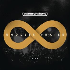 Endless Praise (Live) album cover