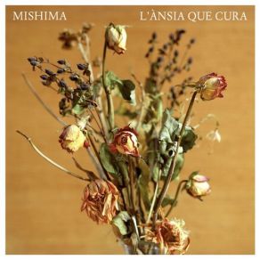 L'Ànsia Que Cura album cover