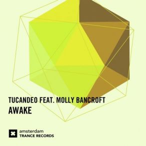 Awake album cover