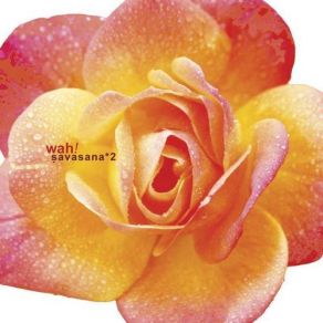 Savasana 2 album cover