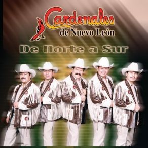 De Norte A Sur album cover