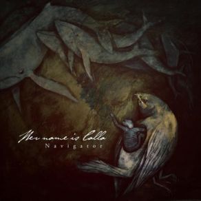 Navigator album cover