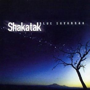 Blue Savannah album cover
