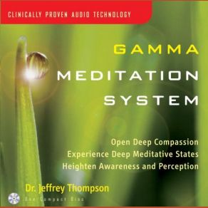 Gamma Meditation System album cover
