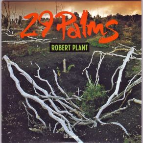 29 Palms album cover