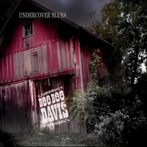 Undercover Blues album cover