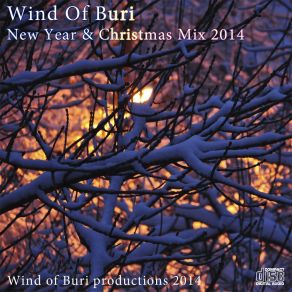 New Year & Christmas Mix 2014 album cover