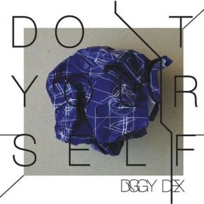 Do It Yourself album cover