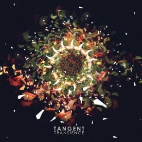 Transience album cover