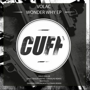 Wonder Why album cover