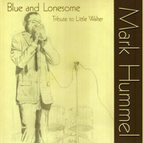 Blue & Lonesome album cover