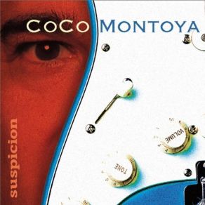 Suspicion album cover