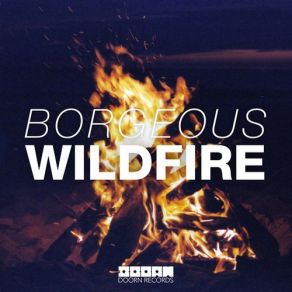 Wildfire (Single) album cover