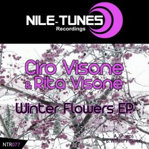 Winter Flowers album cover