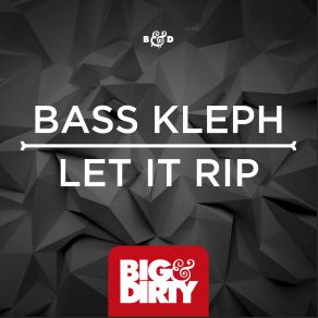 Let It Rip album cover