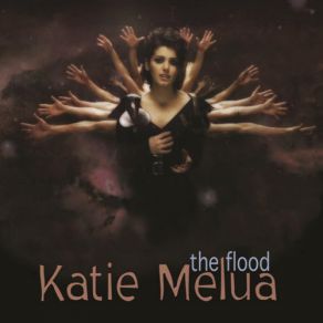 The Flood (Single) album cover