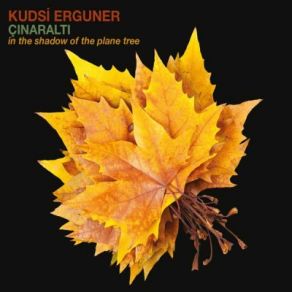 Çınaraltı album cover