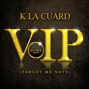 VIP (Incl Jay Frog Remix) album cover
