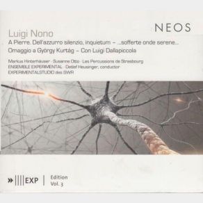 A Pierre album cover