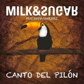 Canto Del Pilón album cover