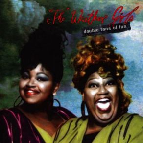 Double Tons Of Fun album cover