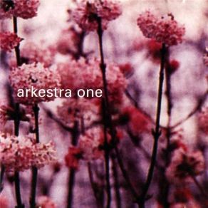 Arkestra One album cover