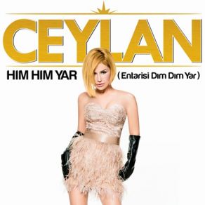Him Him Yar (Single) album cover