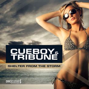 Shelter From The Storm album cover