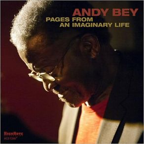 Pages From An Imaginary Life album cover