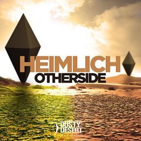 Otherside (Radio Mix) (Single) album cover