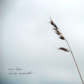 Elusive Moments album cover