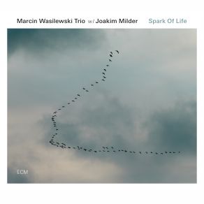 Spark Of Life album cover